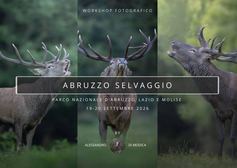 WILD ABRUZZO 19-20 SEPTEMBER 2026