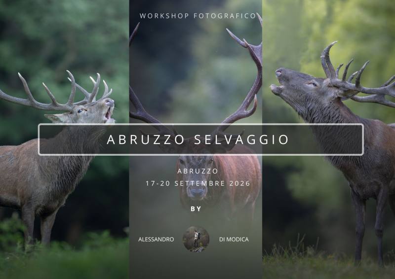 WILD ABRUZZO 17-20 SEPTEMBER 2026