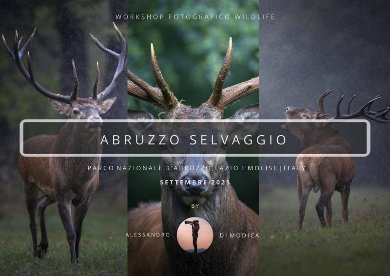 WILD ABRUZZO 19-21 SEPTEMBER 2025