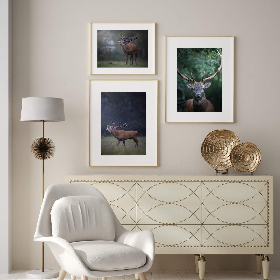Alessandro Di Modica - Red Deer