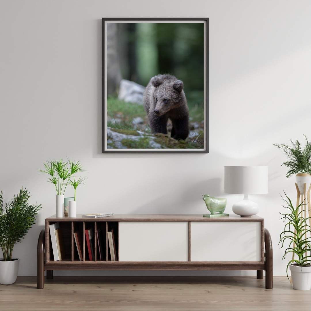 Alessandro Di Modica - Brown Bear