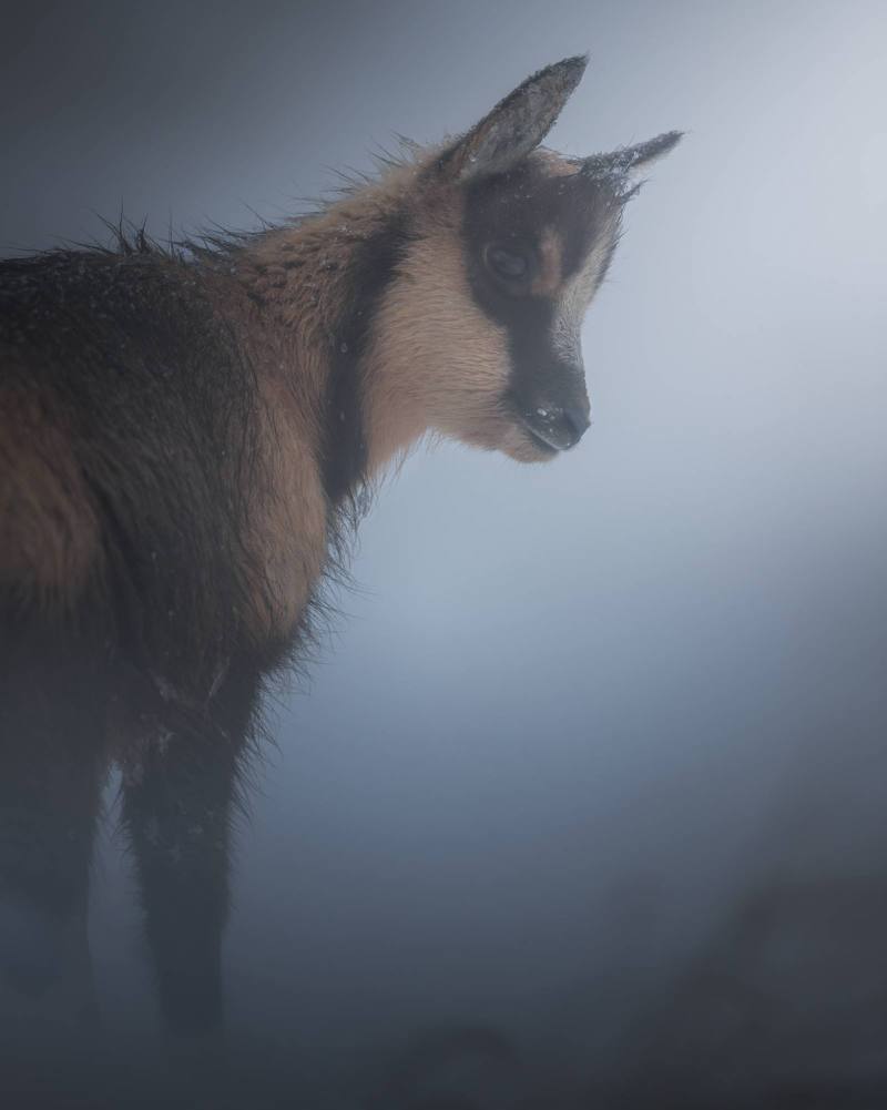 SIBILLINI MOUNTAINS NATIONAL PARK 21-22 NOVEMBER 2026