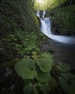 Alessandro Di Modica - Landscapes