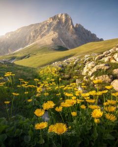 Alessandro Di Modica - Landscapes