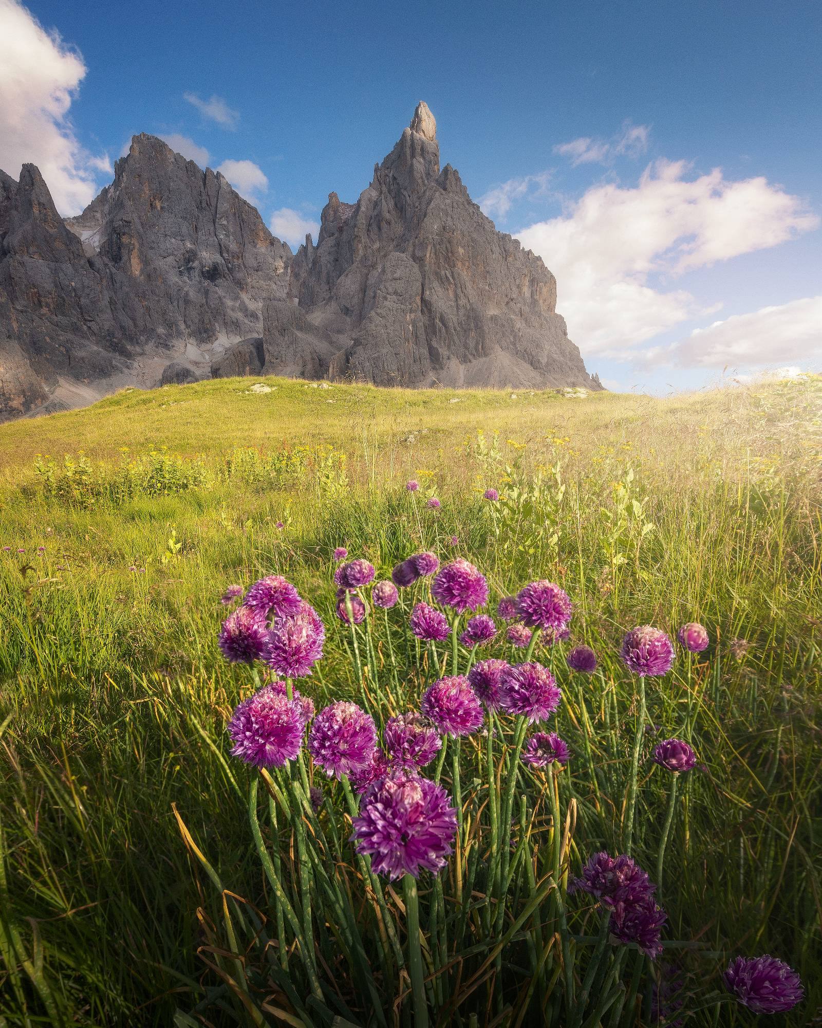 Alessandro Di Modica - Dolomiti