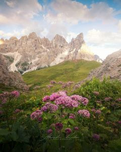 Alessandro Di Modica - Landscapes