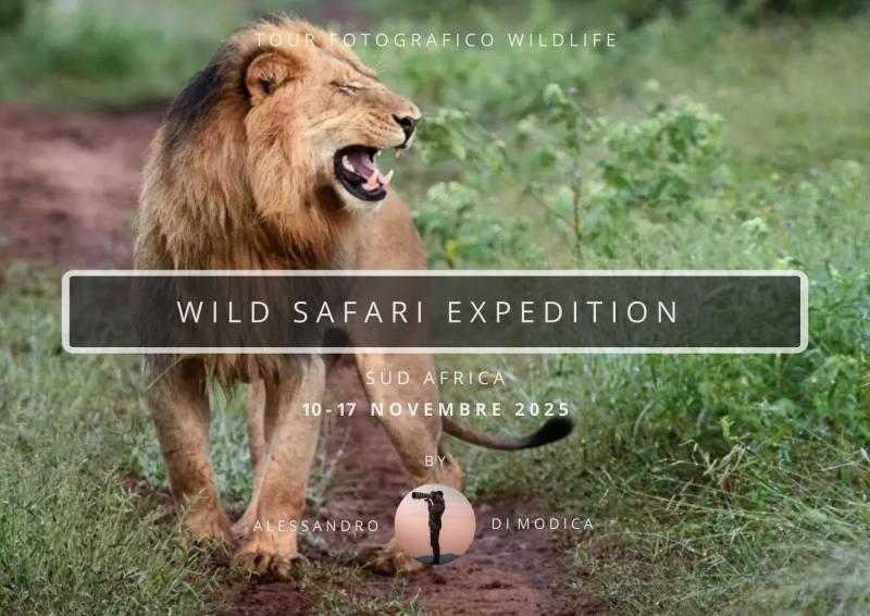 WILD SAFARI EXPEDITION 10-17 NOVEMBER 2025