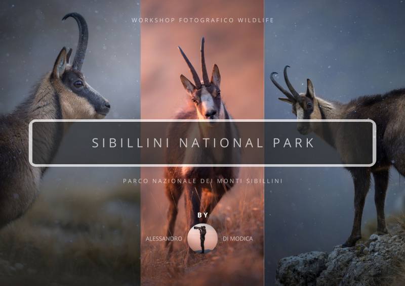 SIBILLINI MOUNTAINS NATIONAL PARK 21-23 NOVEMBER 2025