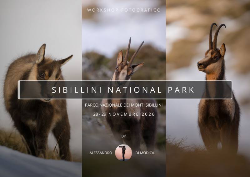 SIBILLINI NATIONAL PARK 28-29 NOVEMBRE 2026