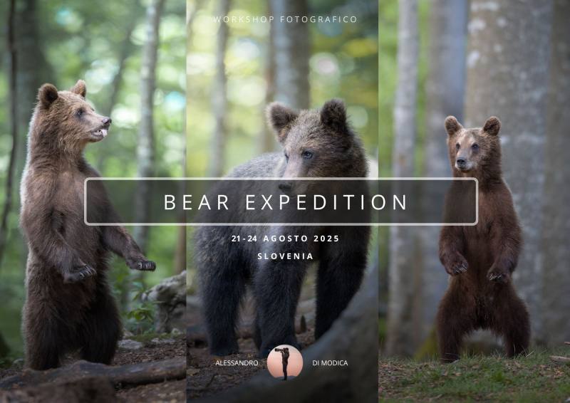 BEAR EXPEDITION 21-24 AGOSTO 2025