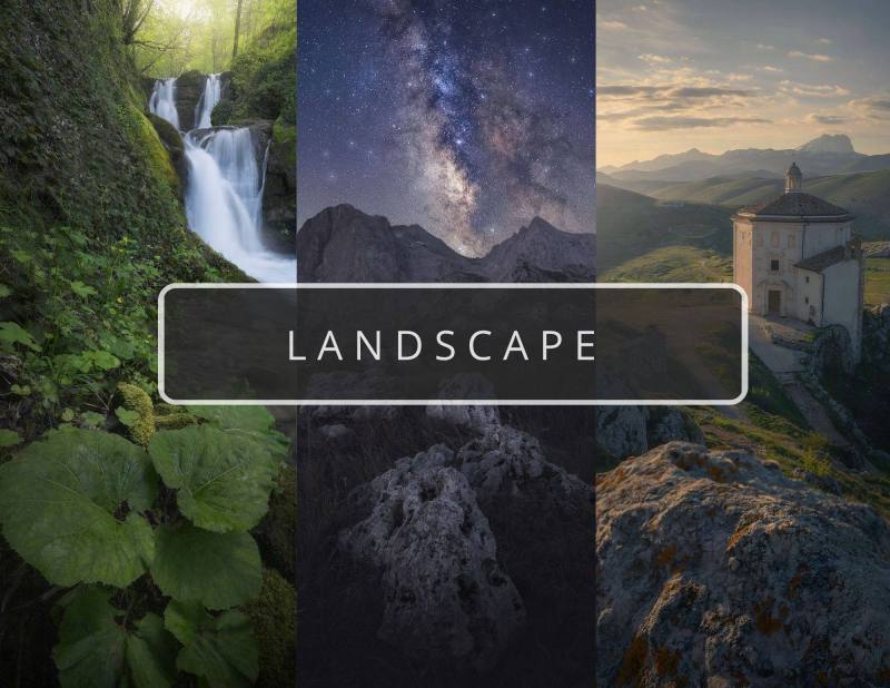 LANDSCAPE