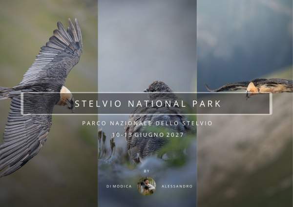 PARCO NAZIONALE DELLO STELVIO