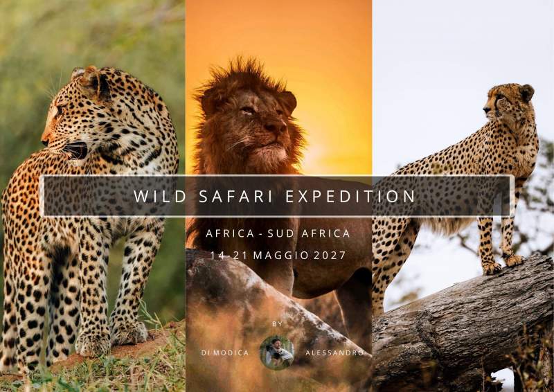 WILD SAFARI EXPEDITION