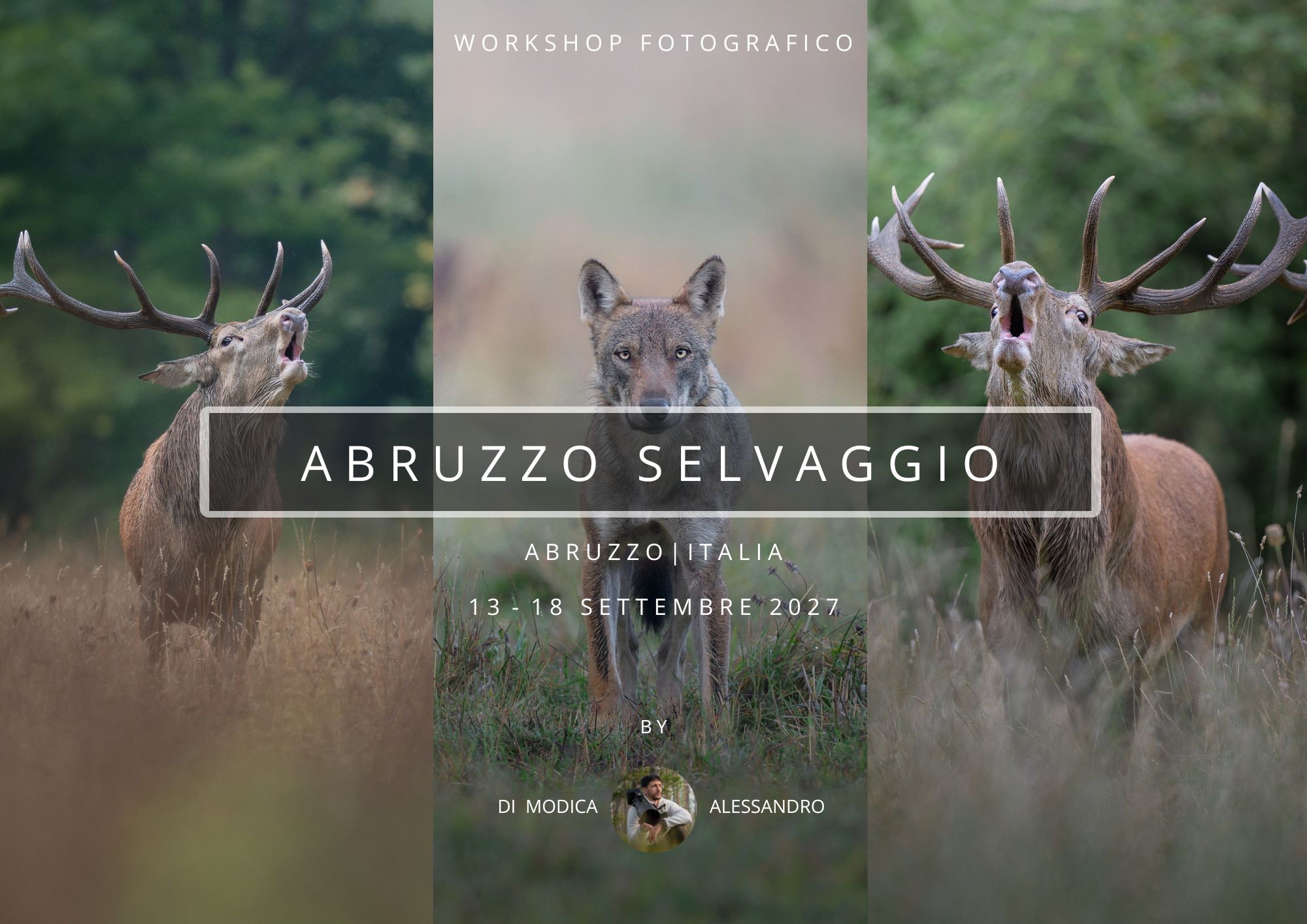 ABRUZZO SELVAGGIO