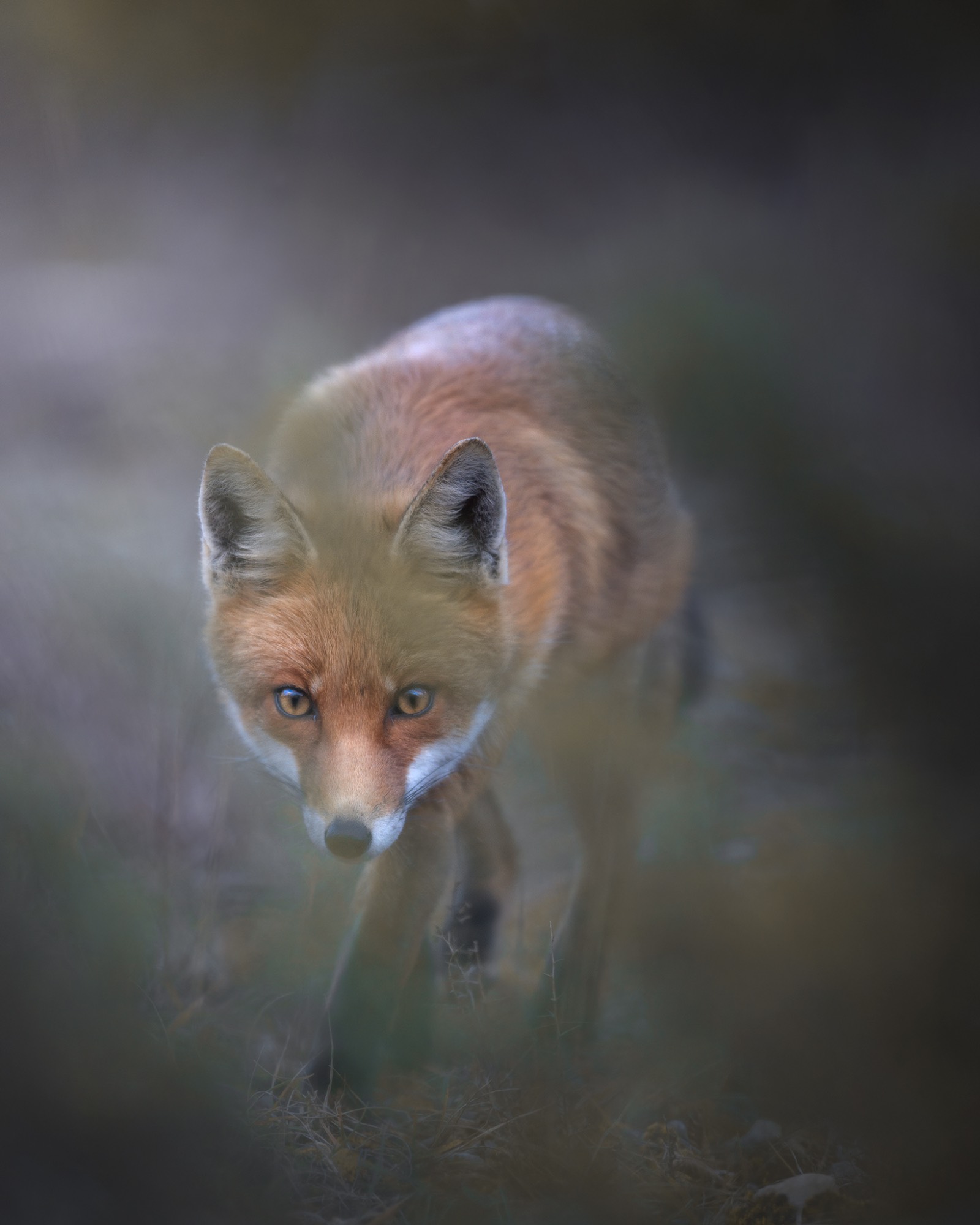 _E4A6956.WEB