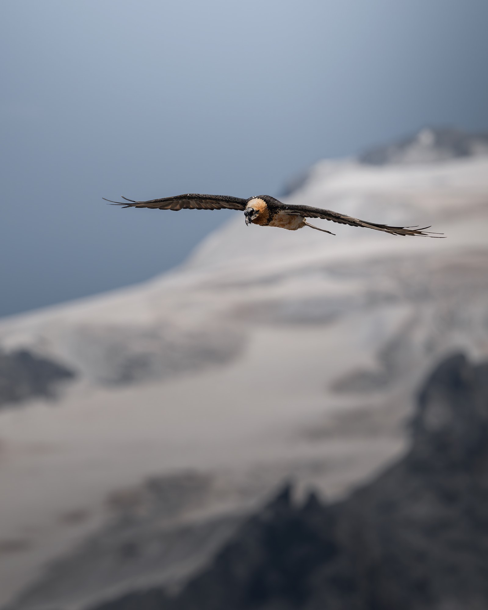 DSC_8573WEB