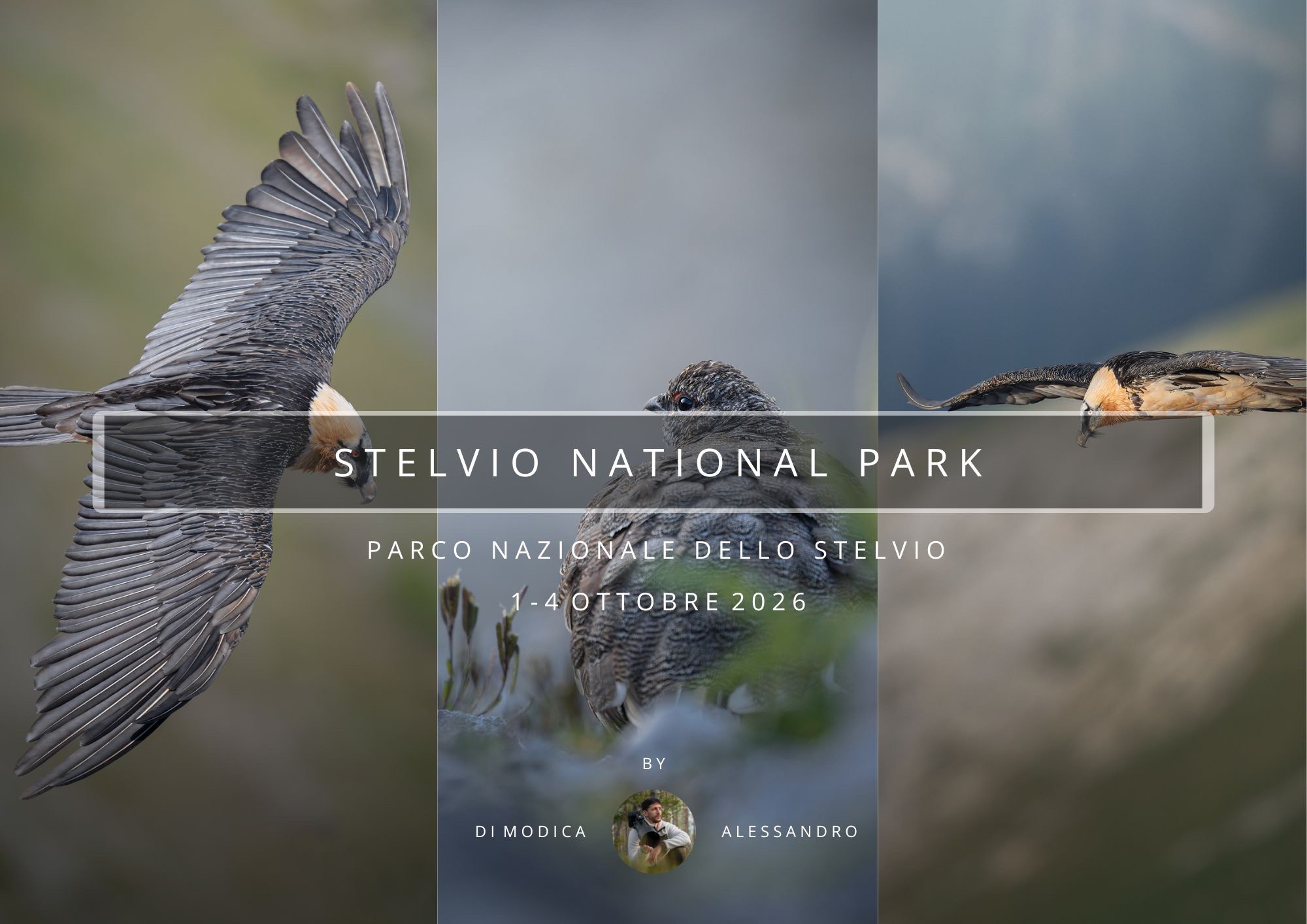 PARCO NAZIONALE DELLO STELVIO 1 - 4 OTTOBRE 2026