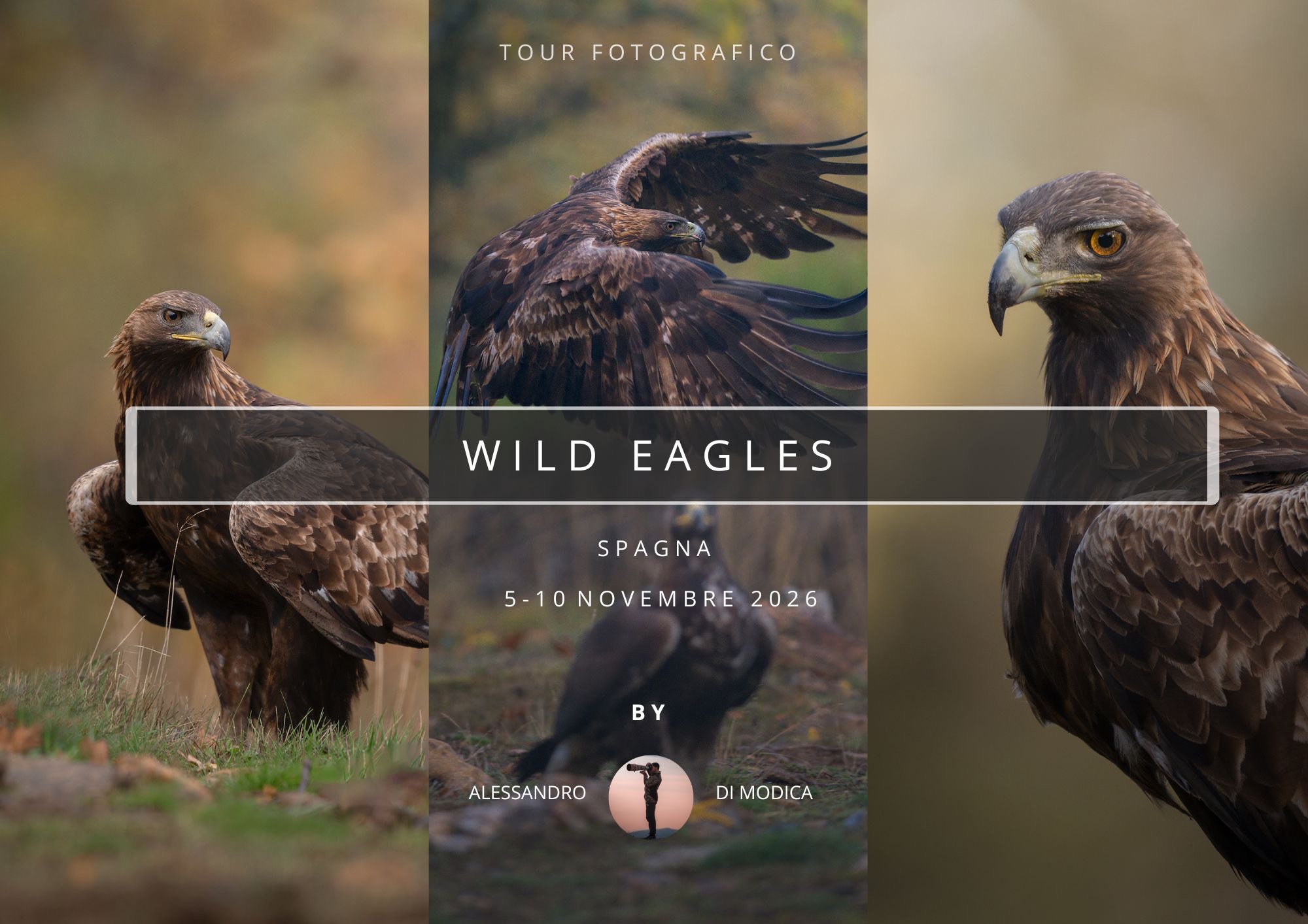 WILD EAGLES