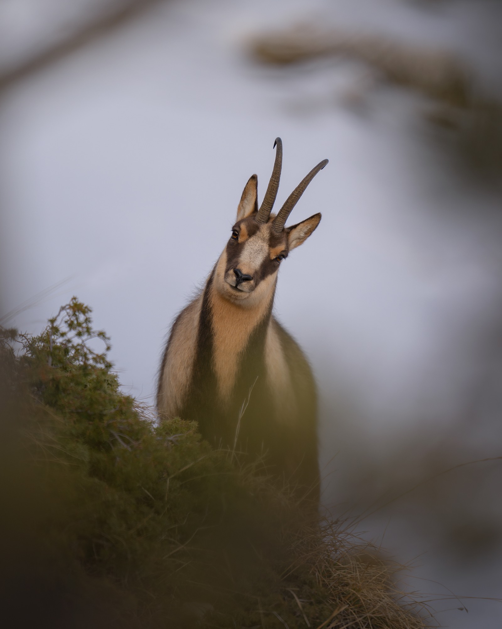 DSC_2824WEB DSC_2824WEB