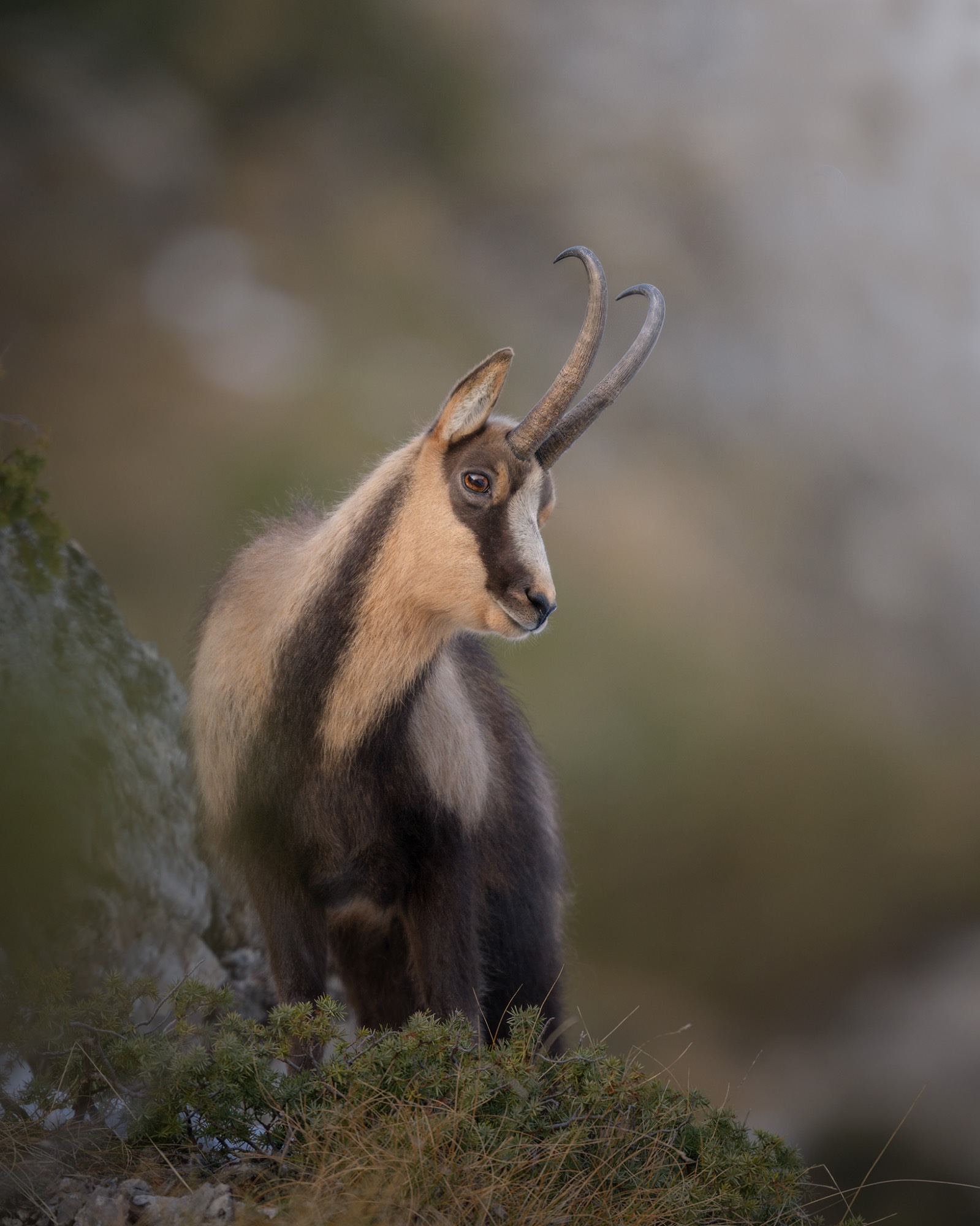 DSC_2975WEB DSC_2975WEB