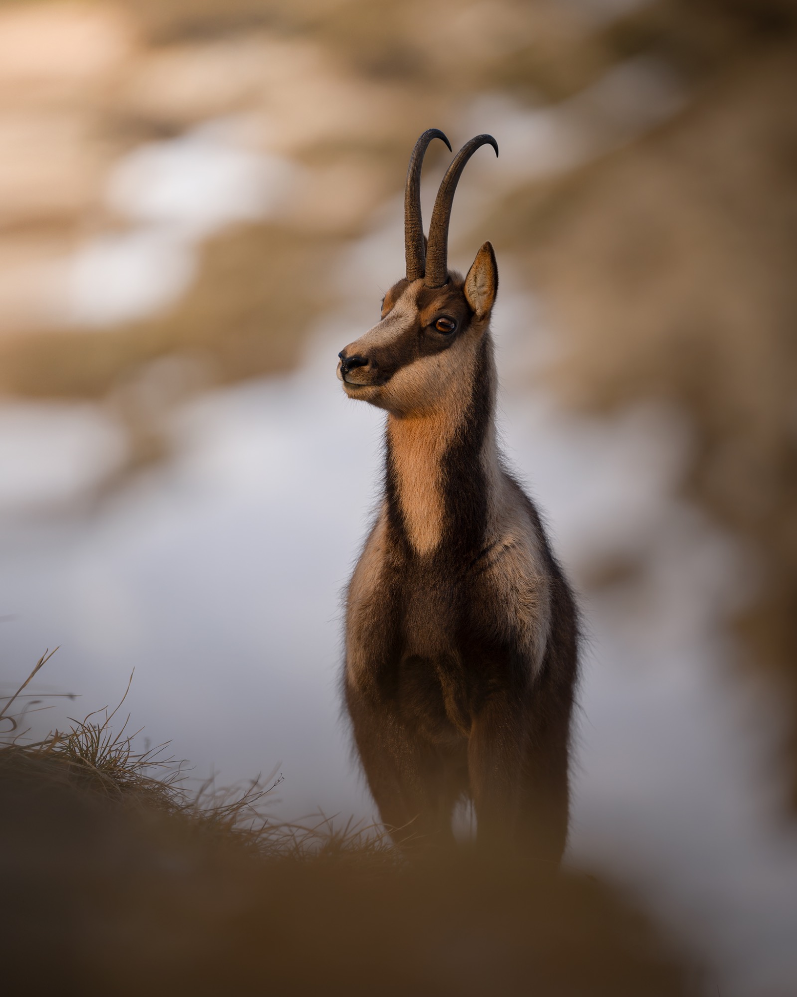 DSC_3097WEB DSC_3097WEB