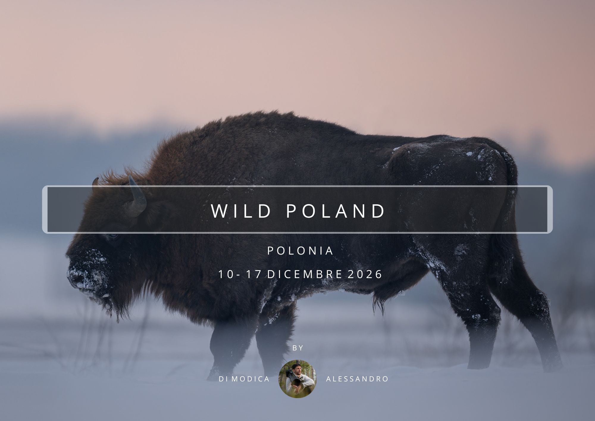 WILD POLAND