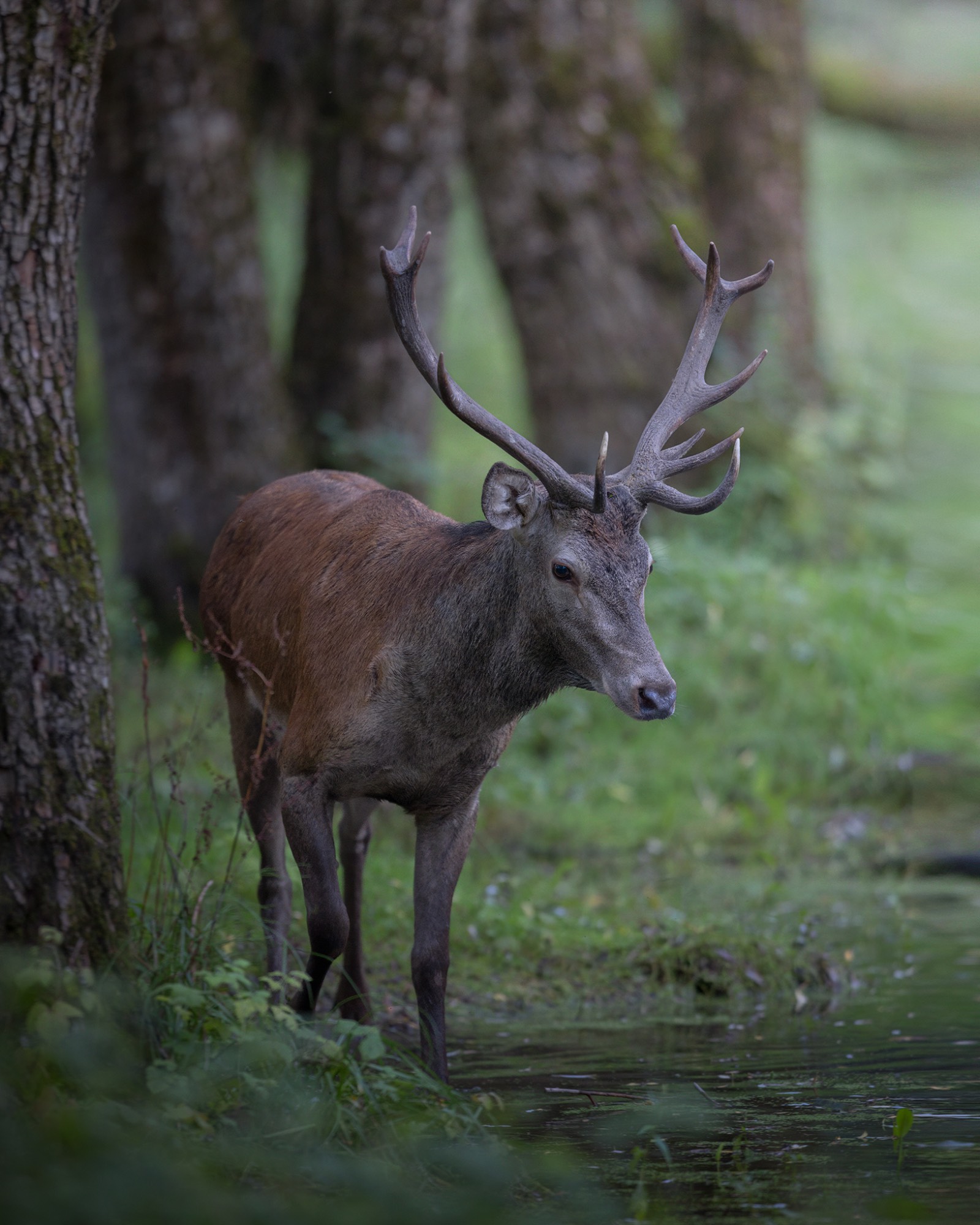 _E4A9651WEB _E4A9651WEB