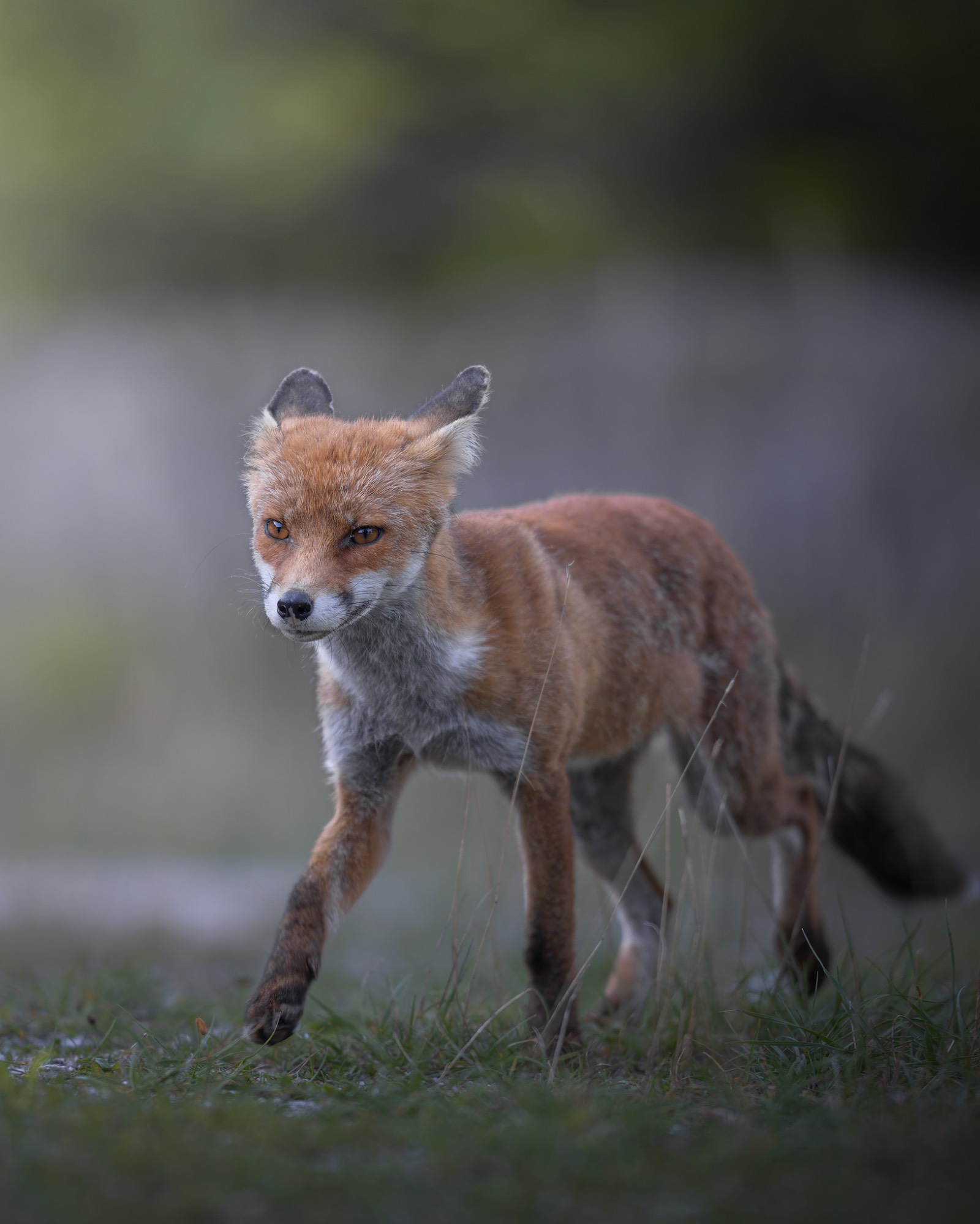 _E4A9839WEB _E4A9839WEB