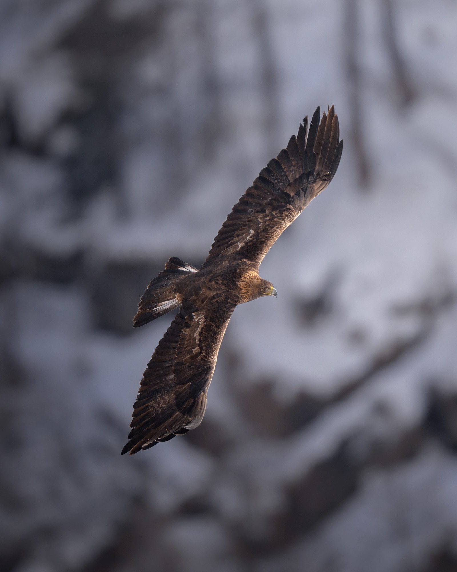 DSC_1748WEB DSC_1748WEB