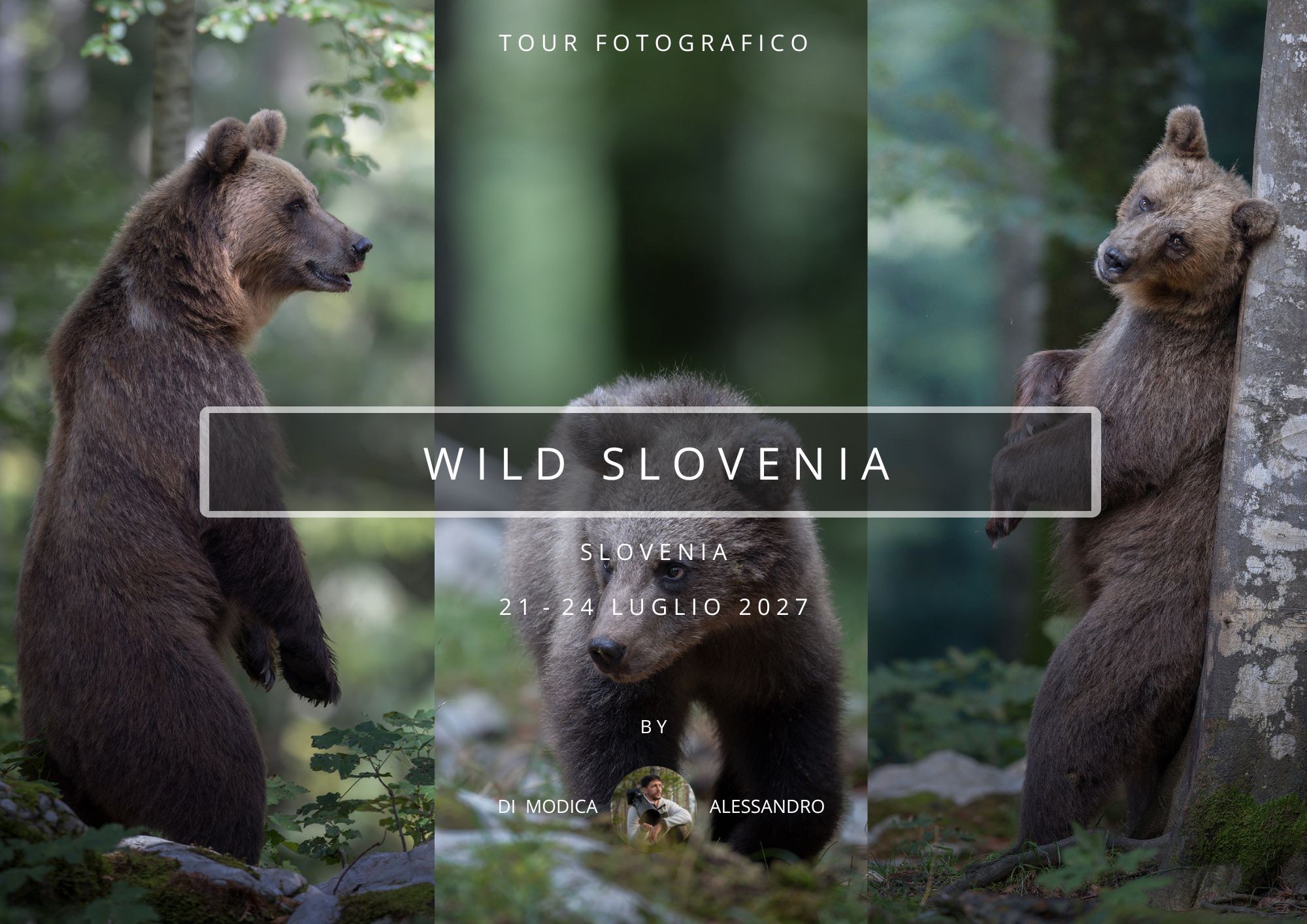 WILD SLOVENIA