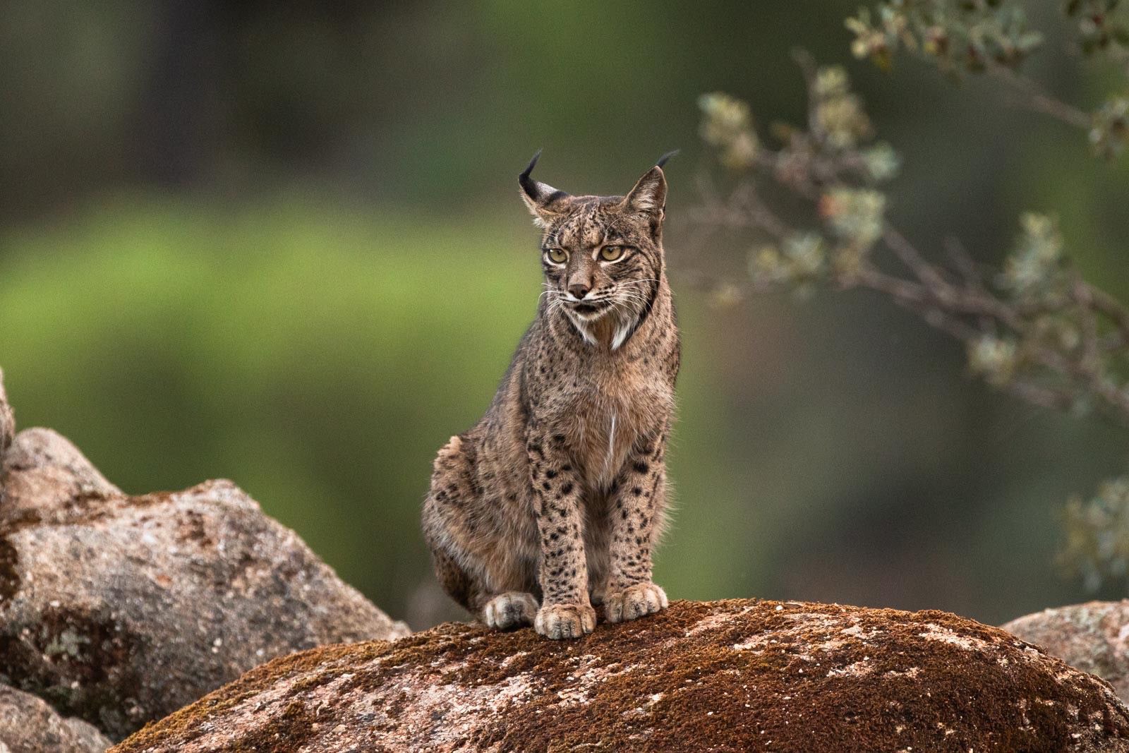 90f231a8-032e-4805-ad1b-9e10d46ead8a 90f231a8-032e-4805-ad1b-9e10d46ead8a