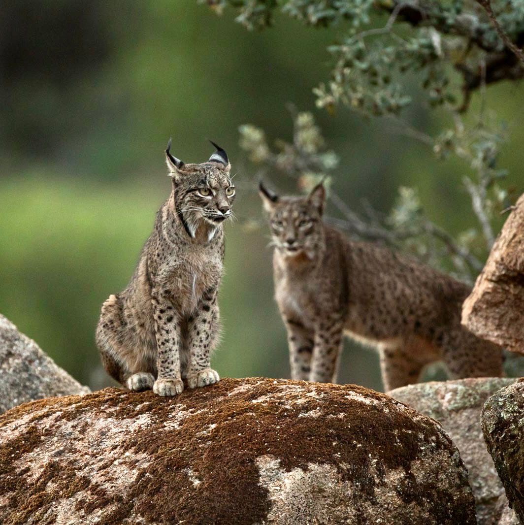 9d2712cf-989a-4abc-b394-5cdadfac3240 9d2712cf-989a-4abc-b394-5cdadfac3240