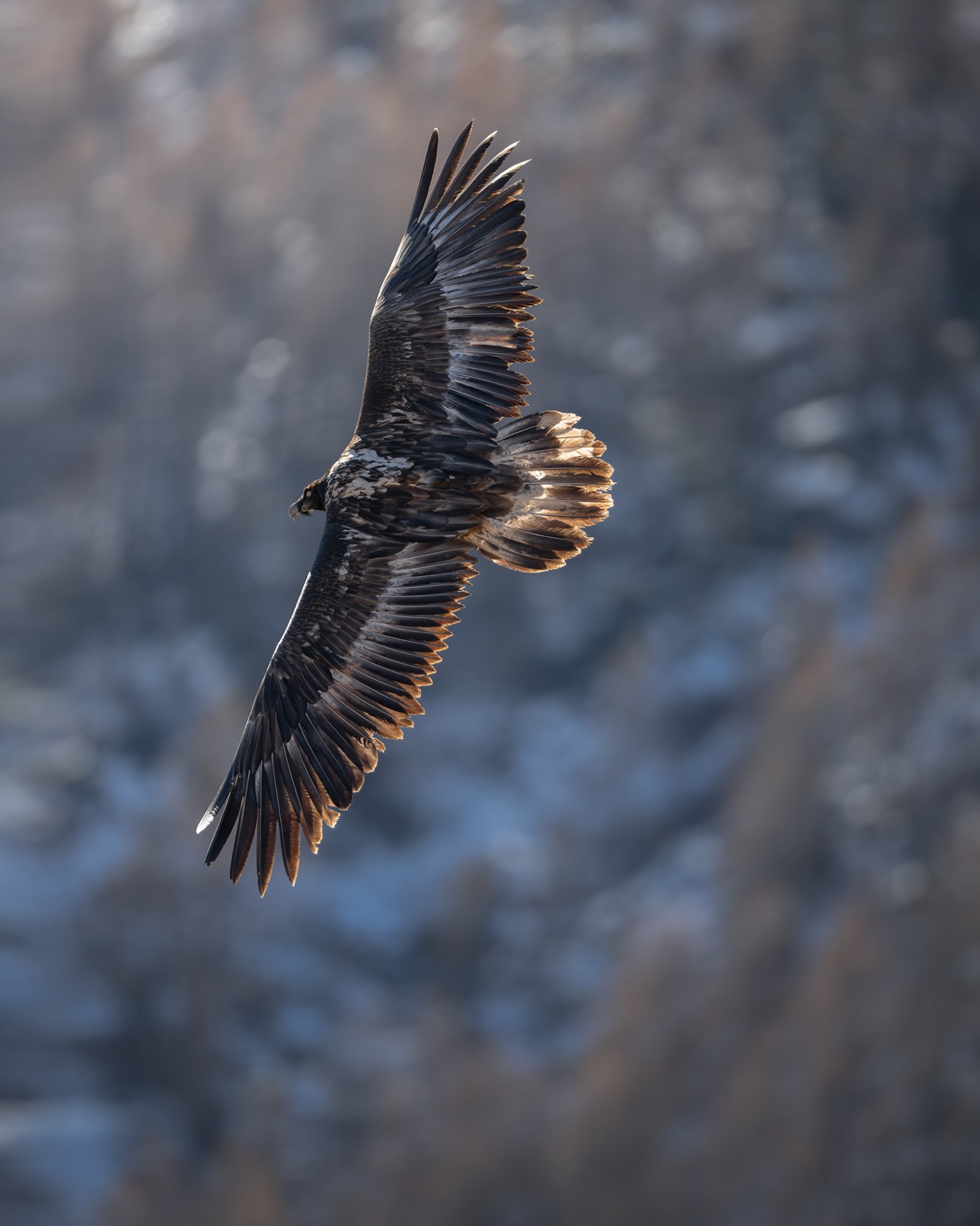 DSC_8930WEB DSC_8930WEB