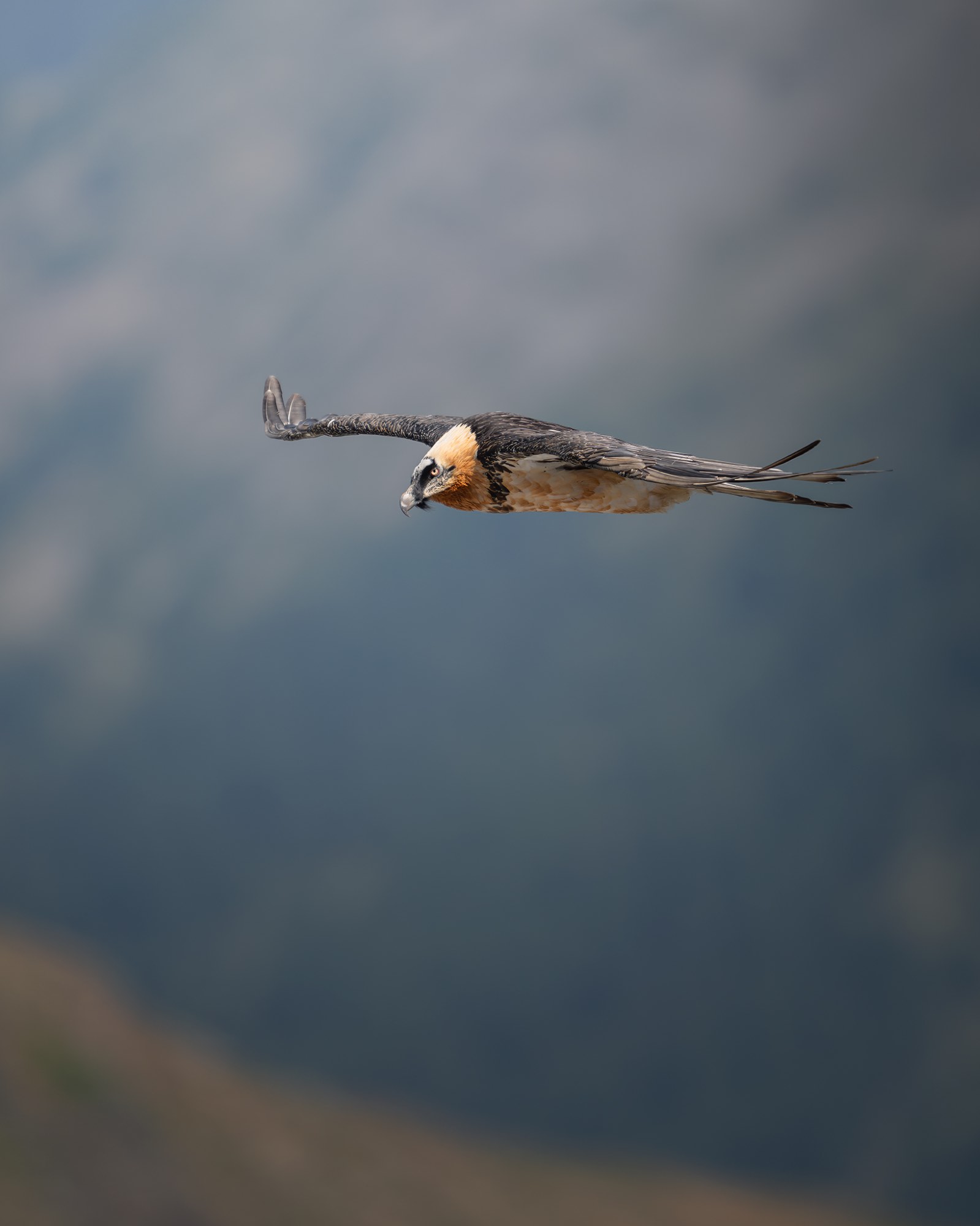 DSC_7798WEB