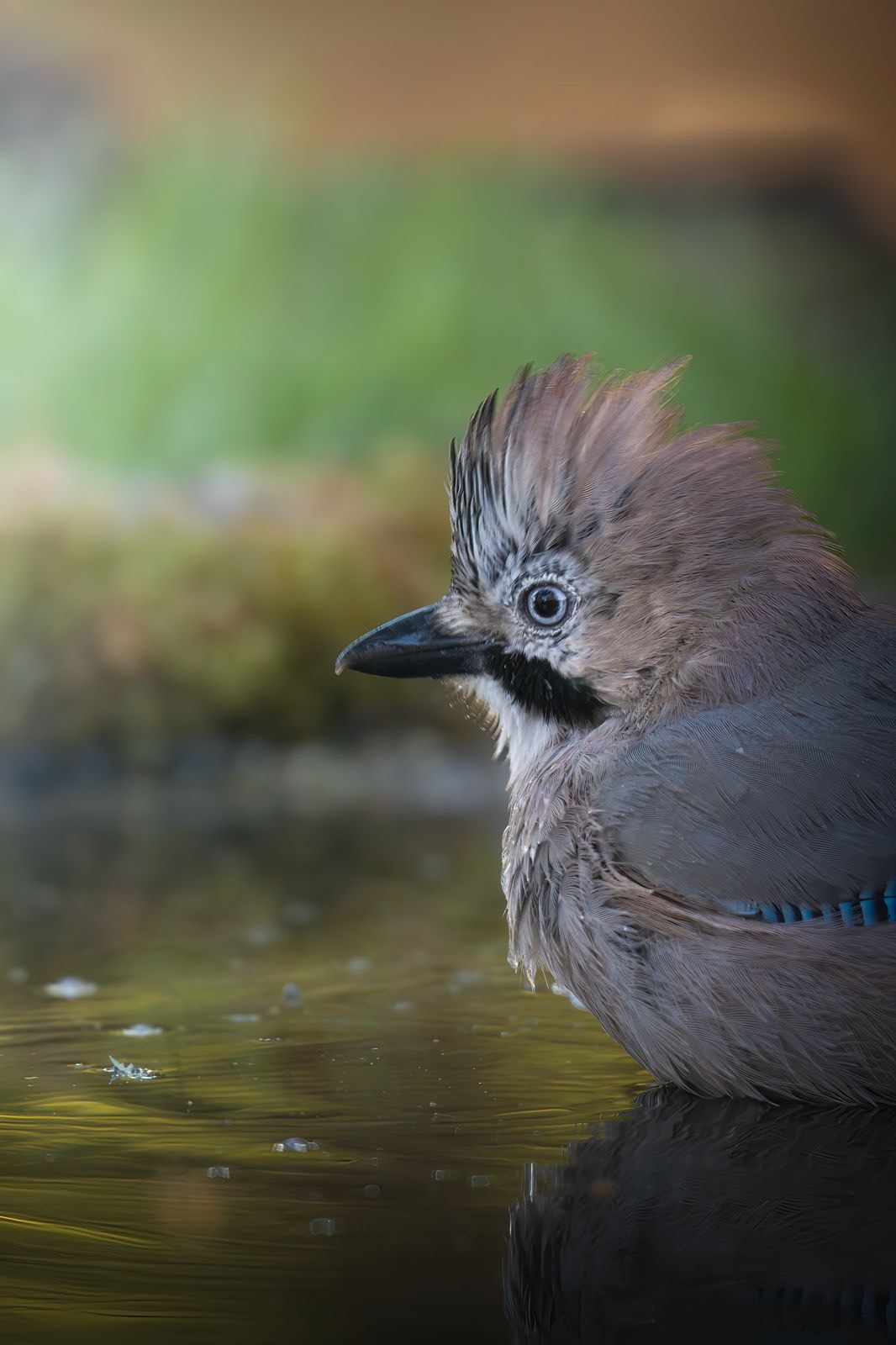 4fc1cb4e-800e-4560-93fd-5af6a1efa372