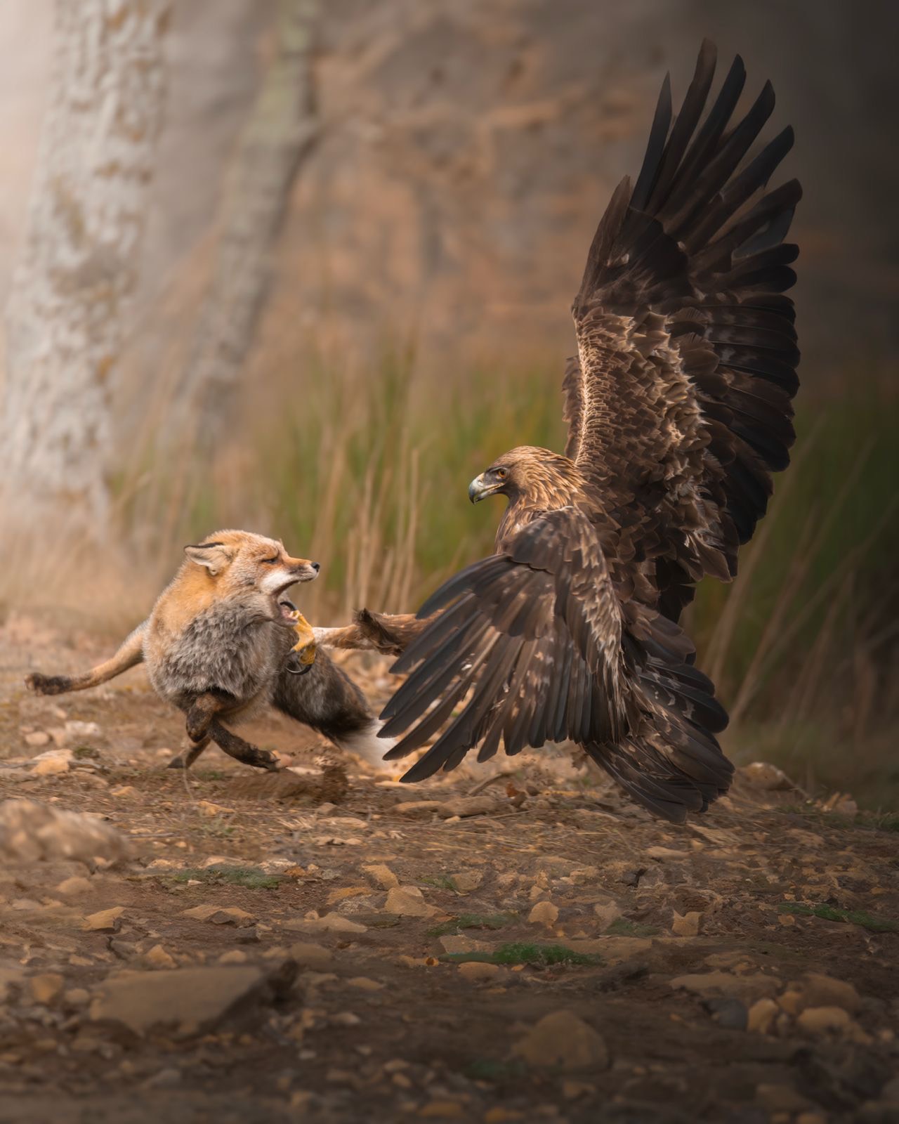 9cc65d85-cdaf-467d-af7b-af5b890a75de