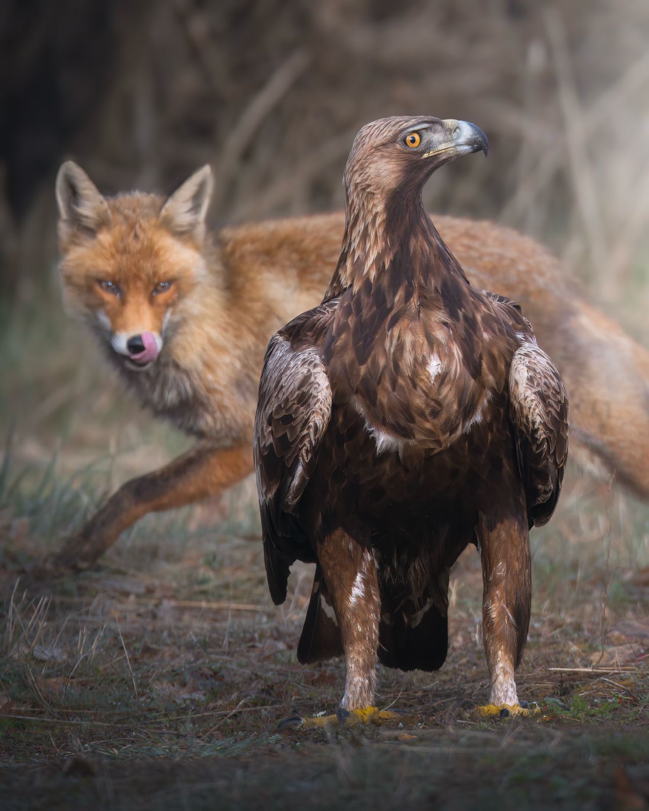 9f57c3a5-0b66-4868-92a5-408f5270d770