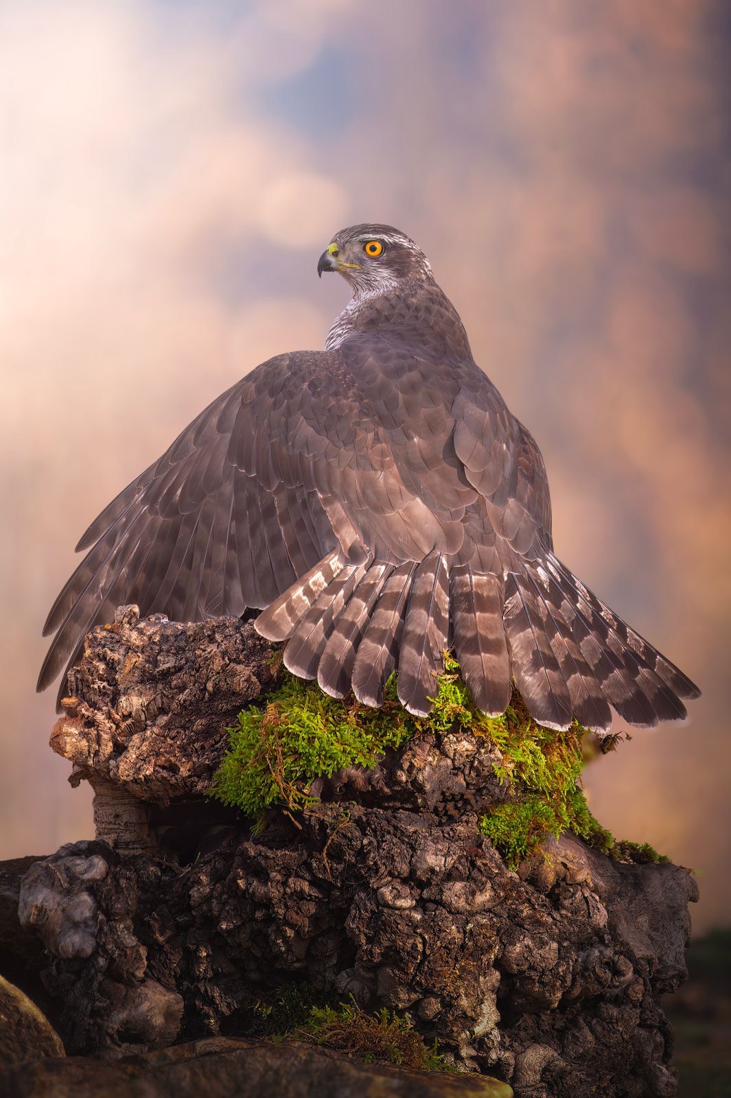 da3d4d5e-d040-42c7-8b76-678cac08c27a