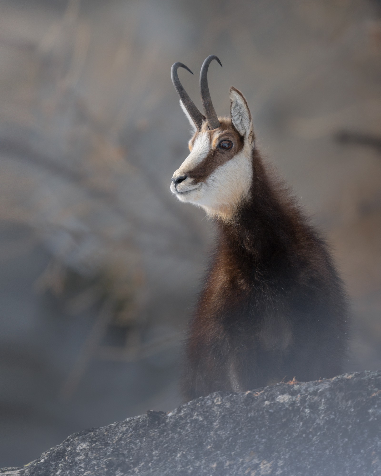 DSC_9246WEB DSC_9246WEB